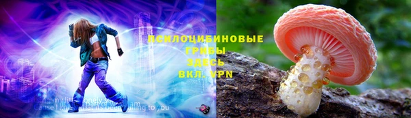 герыч Алзамай