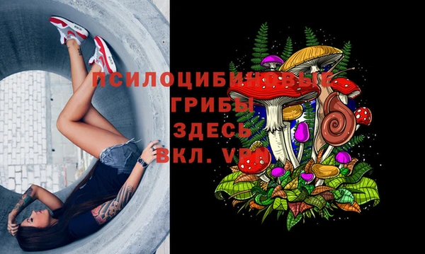 герыч Алзамай