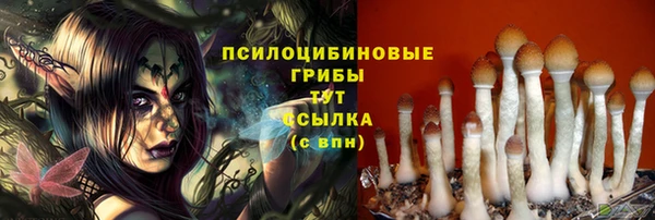 герыч Алзамай